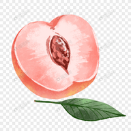 苹果手机抖音直播助手APP应用